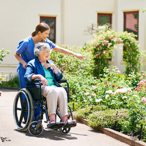 CareSearch
