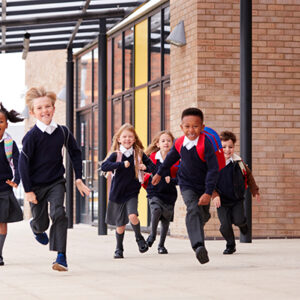 K12 Primary and Secondary Schools Database Subscription