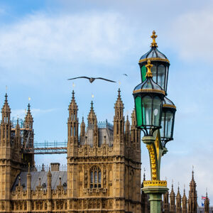 Members Of Parliament Database Subscription