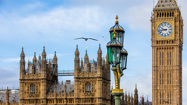 members-parliament-database